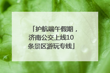 护航端午假期，济南公交上线10条景区游玩专线